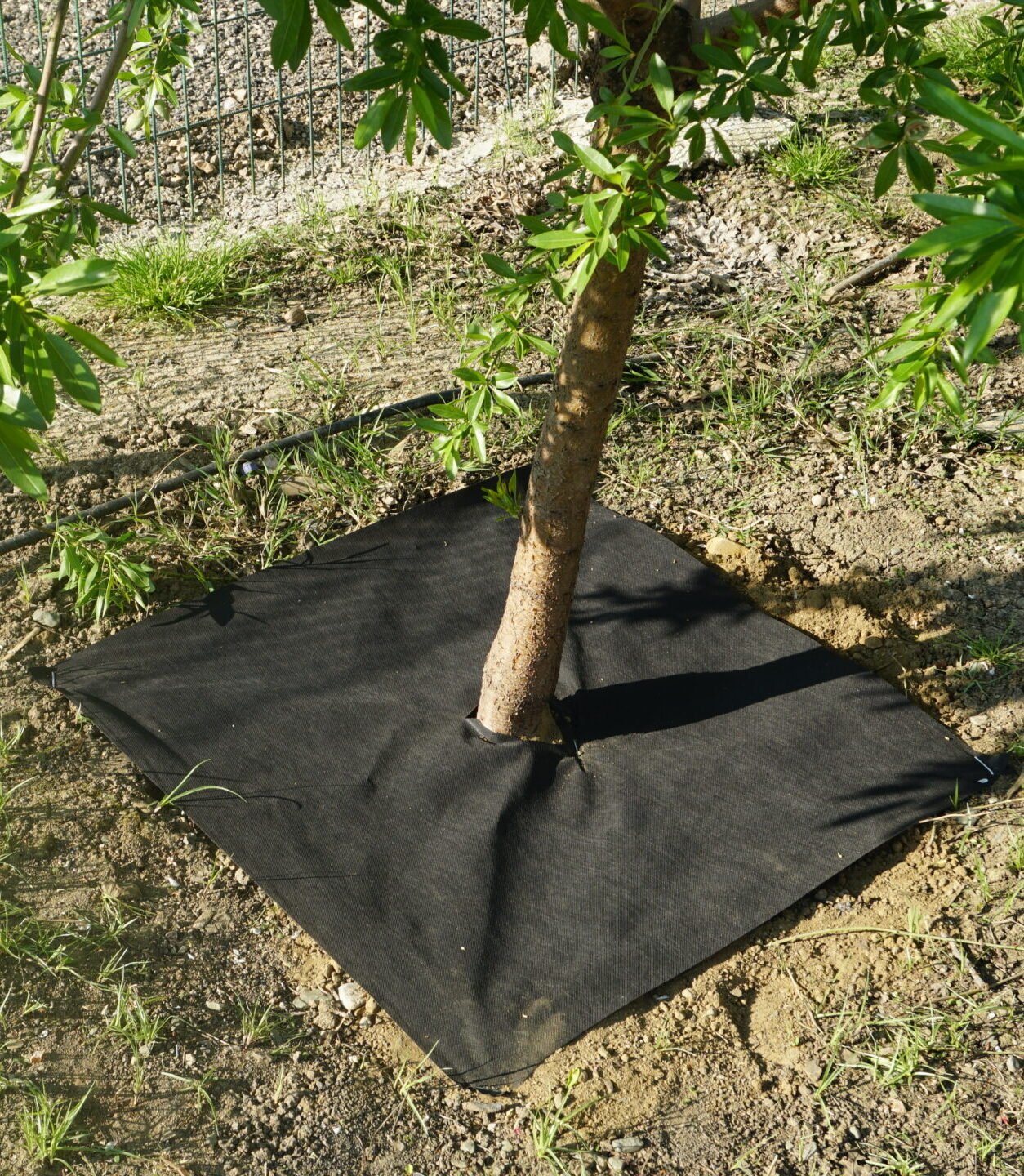 Bitki Paspası 160x160 cm (10'lu)