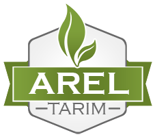 arellogo